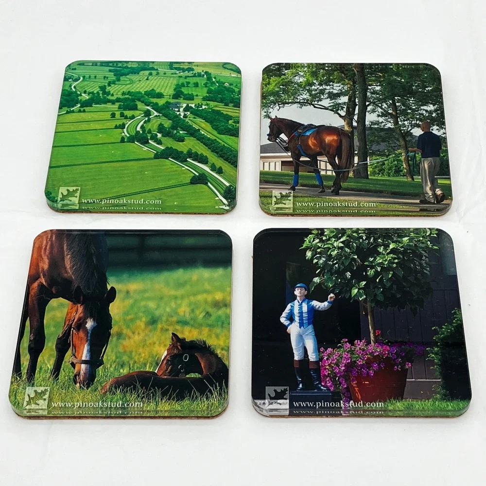 Pin Oak Stud Coaster Set of 4 Multicolor Horse Equestrian Photography Acrylic